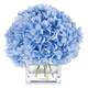 Option Blue