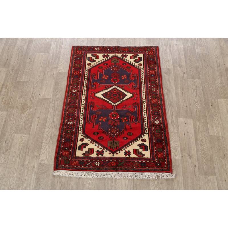Tribal Traditional Hamedan Persian Area Rug Wool Hand-knotted Carpet - 3'4" x 4'7"