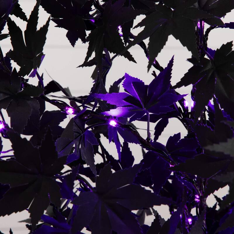 Pre-Lit Halloween Black Maple Artificial Potted Tree - 6' - Multicolor LED Lights
