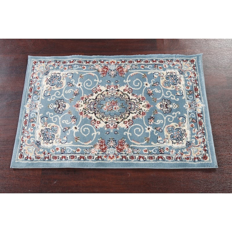Light Blue Floral Medallion Transitional Turkish Rug Oriental Carpet