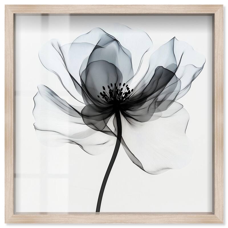 Midania II Shadowbox by Art Remedy - Natural - 16" x 16"