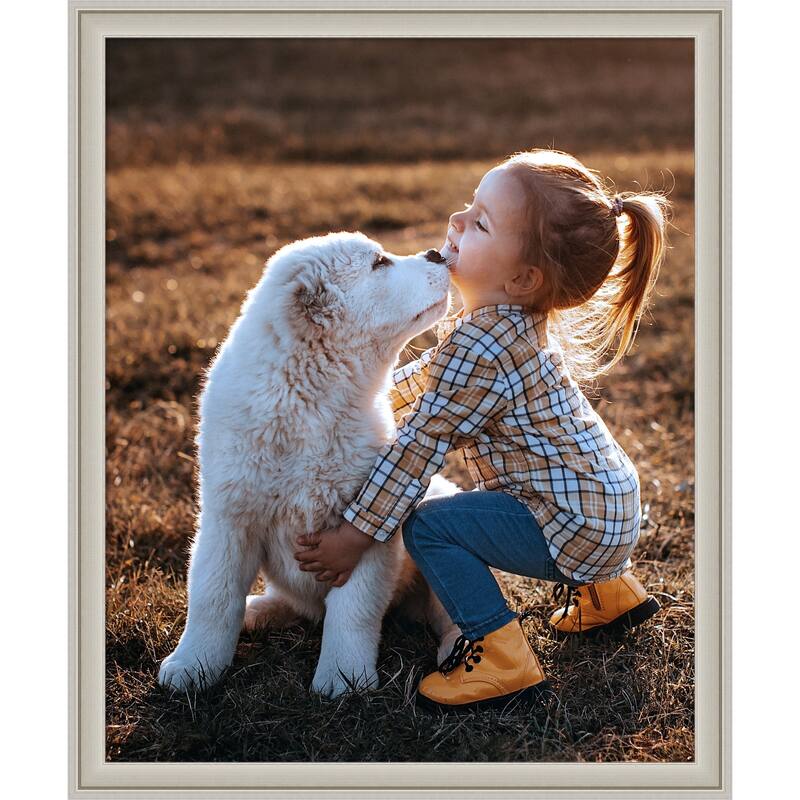 Florence Gold Framed Picture Frame, Photo Frame - 18x22 - Florence Silver