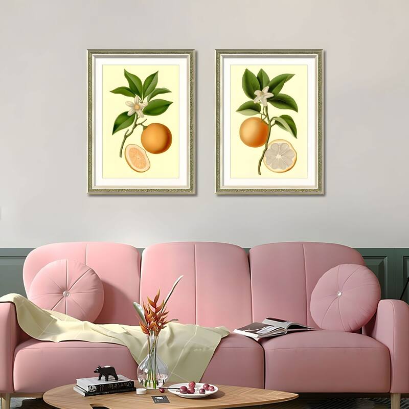 Set of 2 Orange Fruit Botanical Framed Wall Art - Replaceable Canvas Prints with Solid Wood Picture Frames - Green,Orange