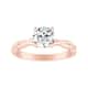 Option Rose