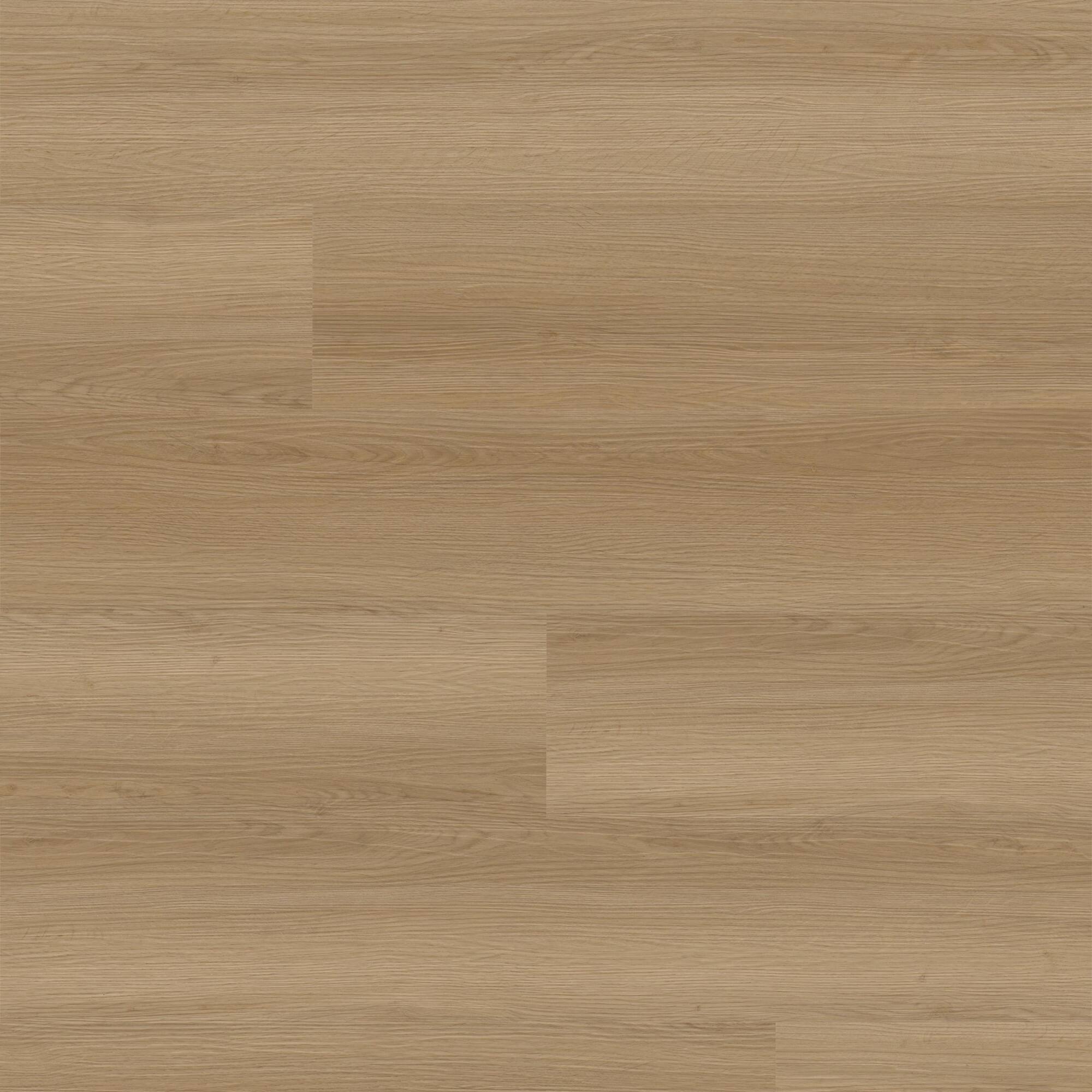 Option Palapa Pine