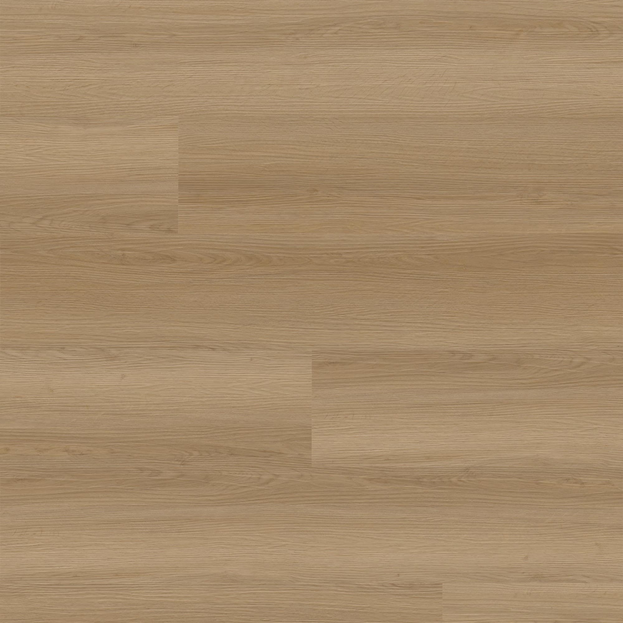 Option Palapa Pine