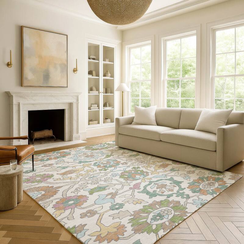 Machine Washable Indoor/ Outdoor Traditional Blanca Chantille Rug