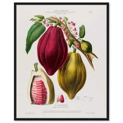 Cocoa Cacao by Etienne Denisse Canvas by Art Remedy
