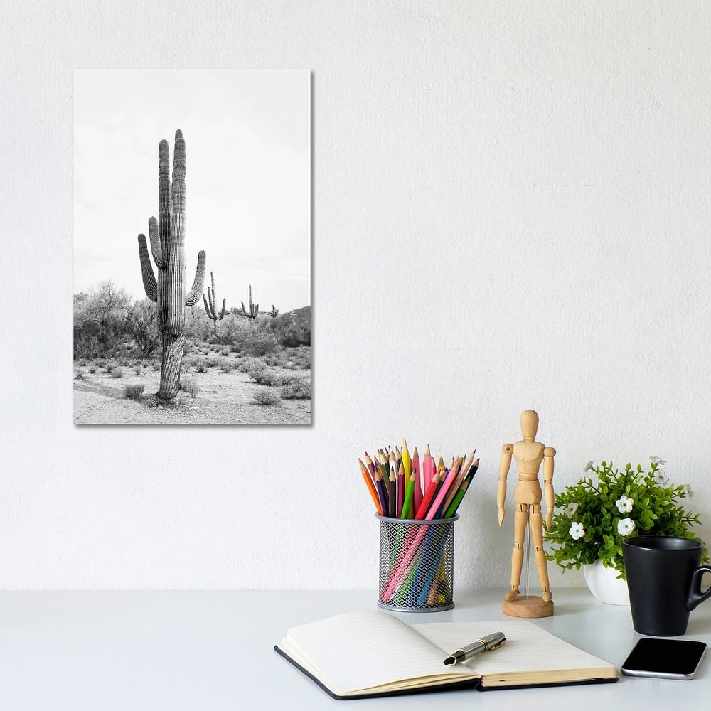 iCanvas "Desert Cactus In Black & White" by Sisi & Seb Canvas Print