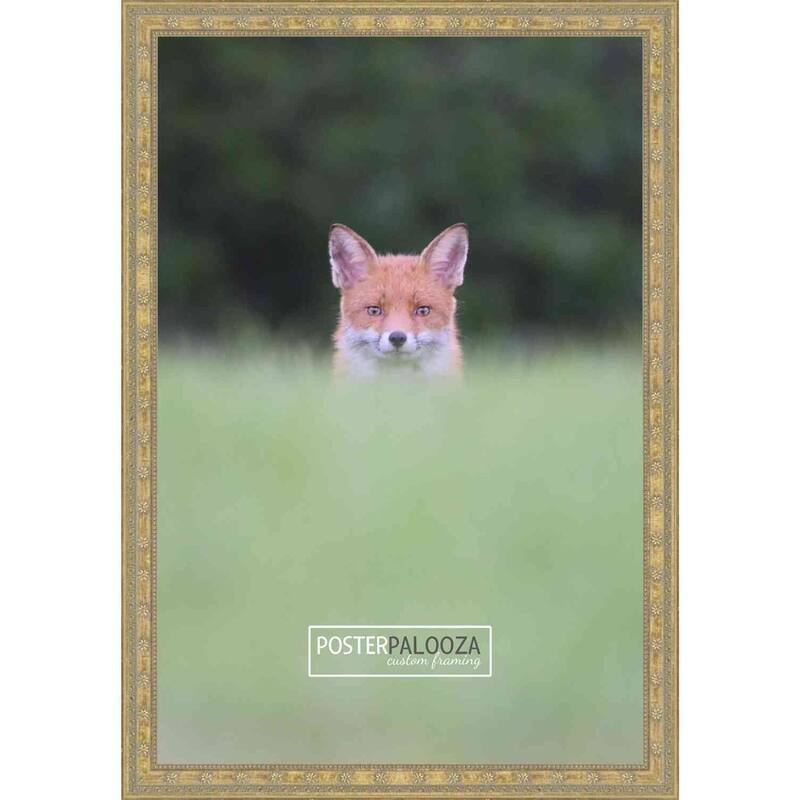 13x15 Ornate Gold Complete Wood Picture Frame with UV Acrylic, Foam Board Backing, & Hardware
