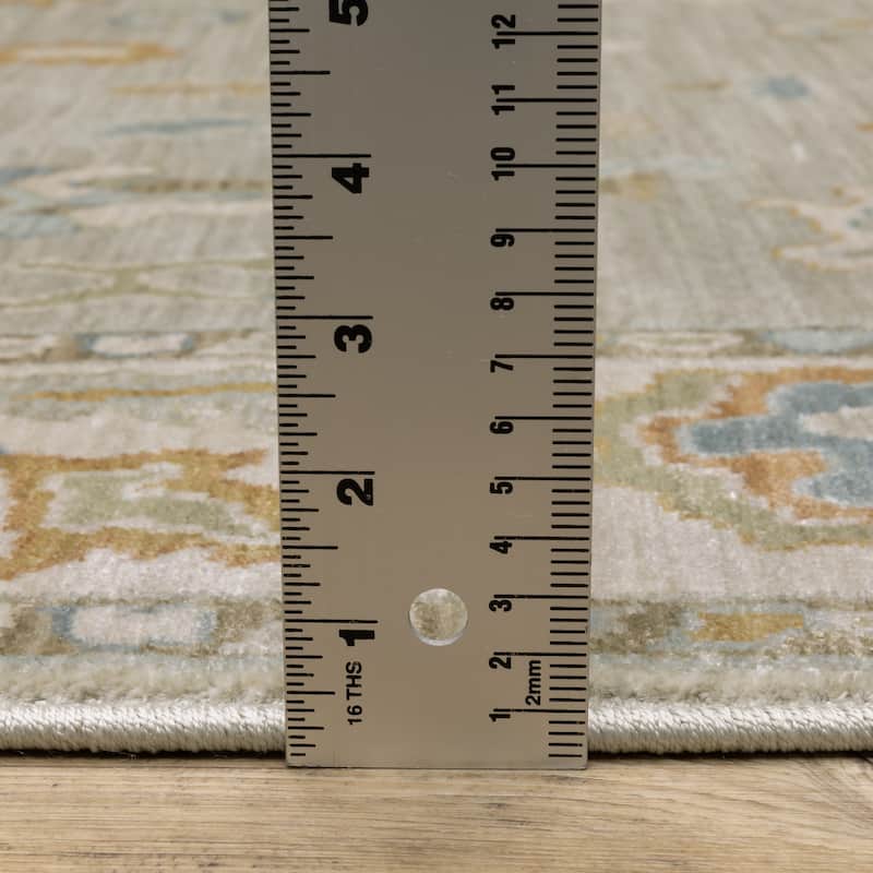 Meadow Bordered Oriental Grey/ Blue Area Rug