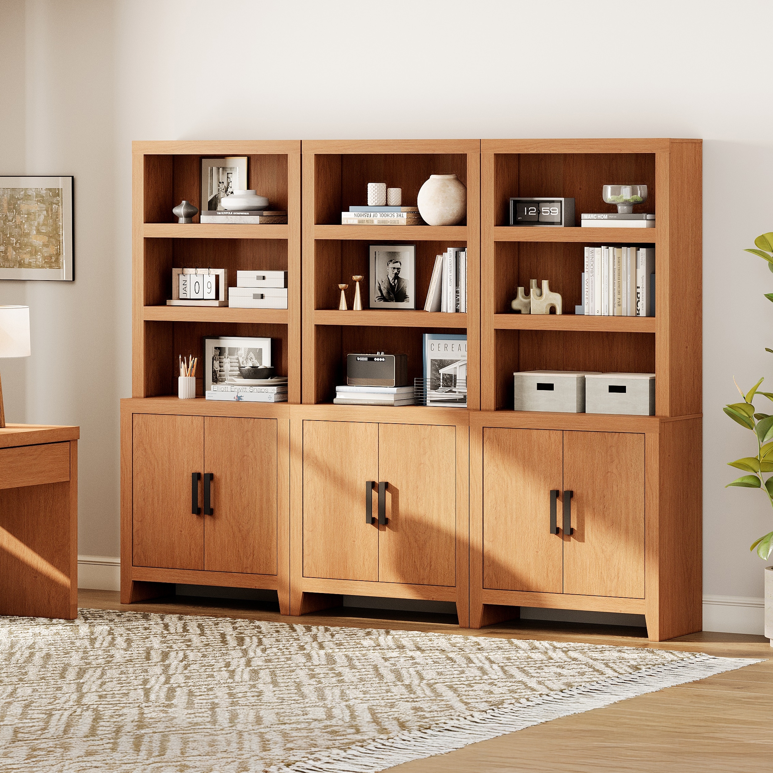 74" Tall Bookshelf with Door, Farmhouse Bookcase with Adjustable Shelf and Storage Cabinet for Living Room, Office