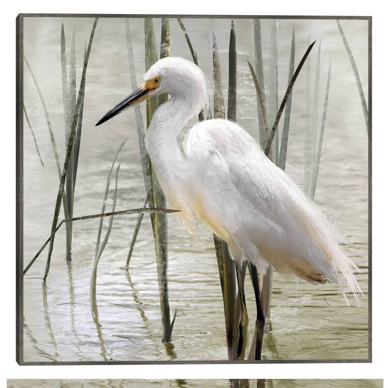 In The Reeds By Studio Arts Canvas Art Print