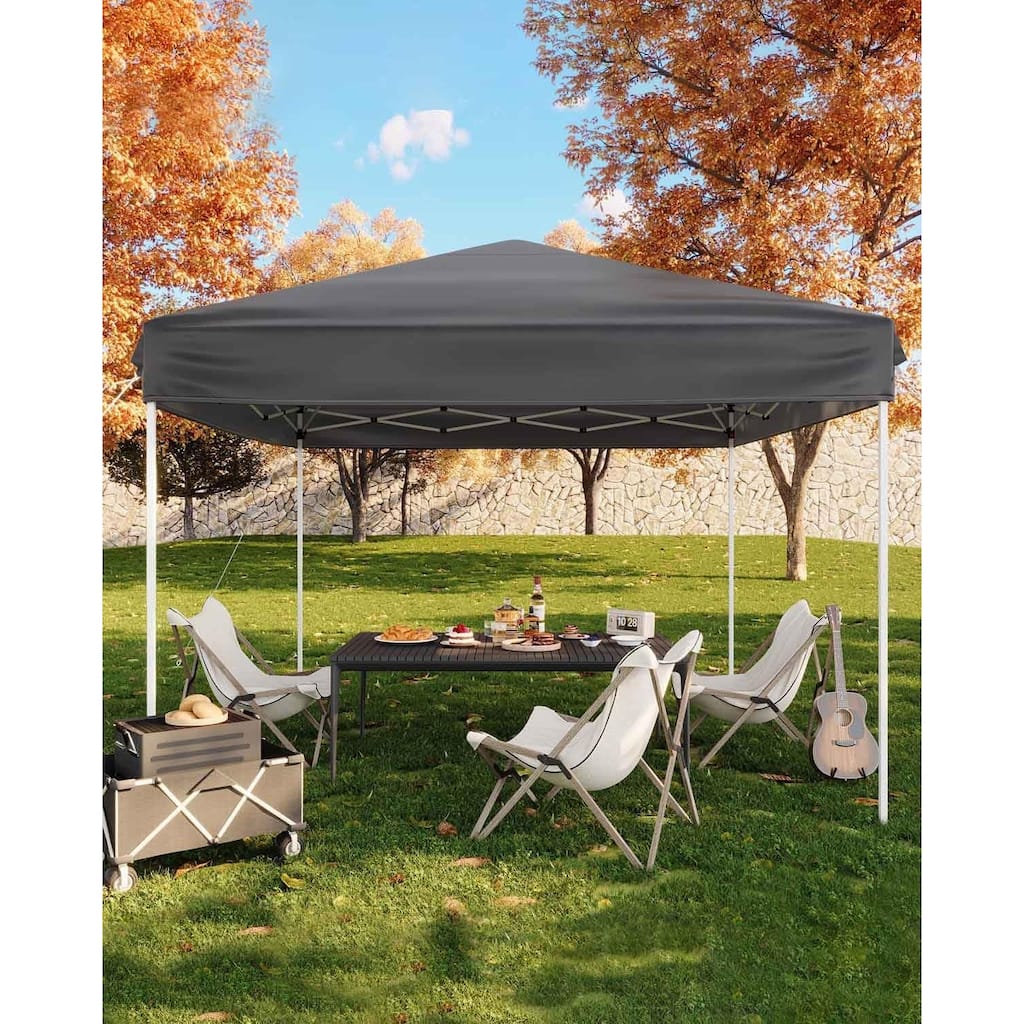10x10 Heavy Duty Pop Up Canopy,Outdoor Canopy Tent with Portable Bag