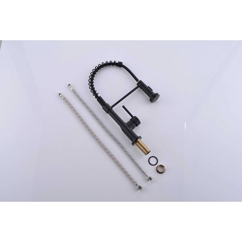 Single Handle One Hole Kitchen Faucets Pull Down Sprayer Spring
