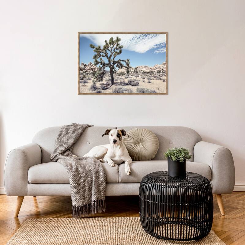 Yucca by Shot by Clint Framed Canvas Wall Art Print