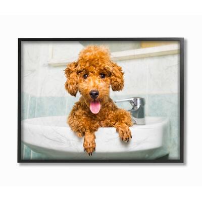 Stupell Goldendoodle Puppy Sink Playtime Black Framed, 16 x 20, Design By Artist In House Art - 16 x 20