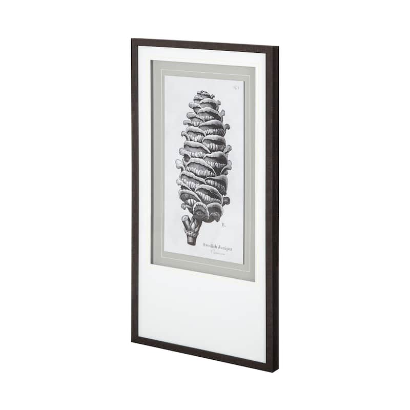 Swedish Juniper Framed Art Print