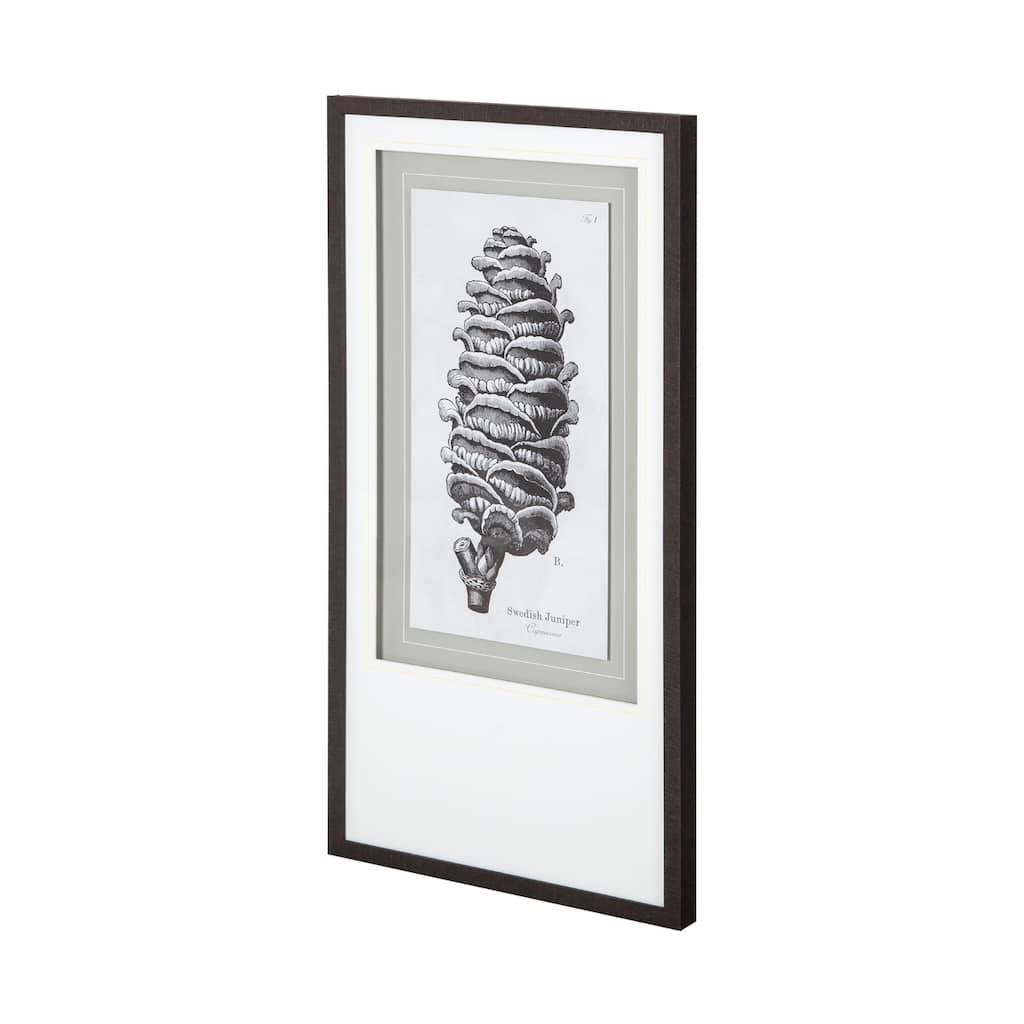 Swedish Juniper Framed Art Print