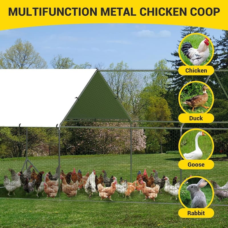 Large Metal Chicken Coop Walk-in Poultry Cage
