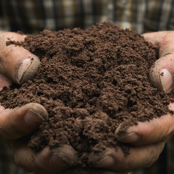 Michigan Peat 5720 Garden Magic General Purpose Potting Soil Mix, 20 Pound  Bag - Bed Bath & Beyond - 35296069