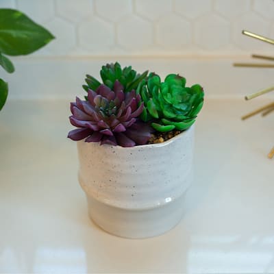 Artificial Plant Succulent Mix in Two Tone Ceramic Planter,Cream/Beige - ONE-SIZE