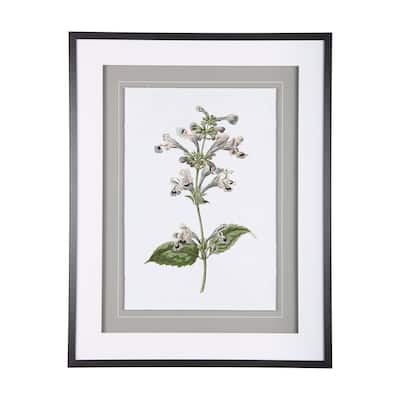 Soft Blue Botanicals III Framed Art Print