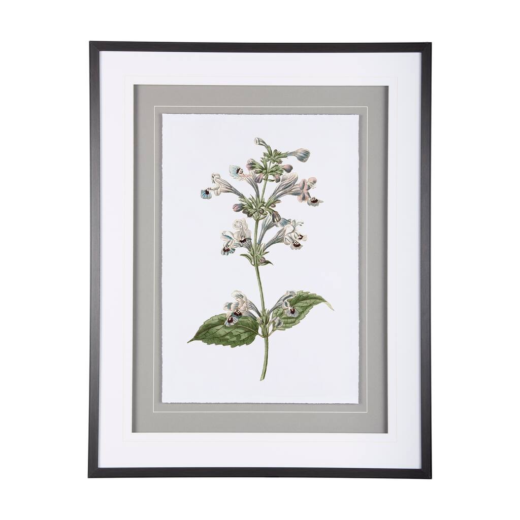 Soft Blue Botanicals III Framed Art Print