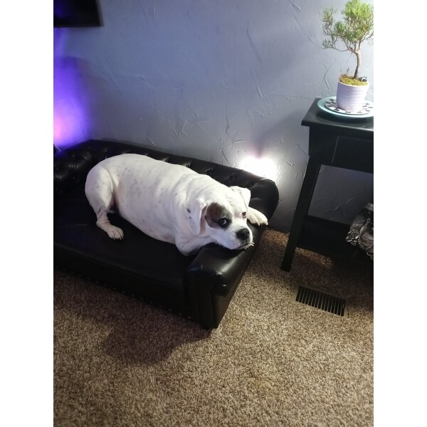 wentworth tufted dog bed