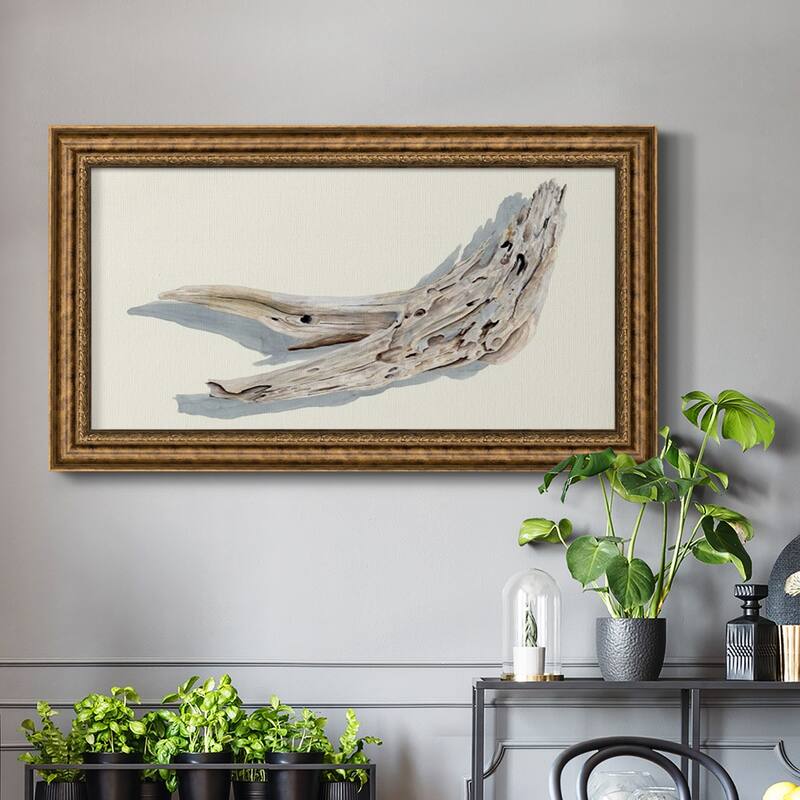 Driftwood Study III Premium Framed Canvas- Ready to Hang