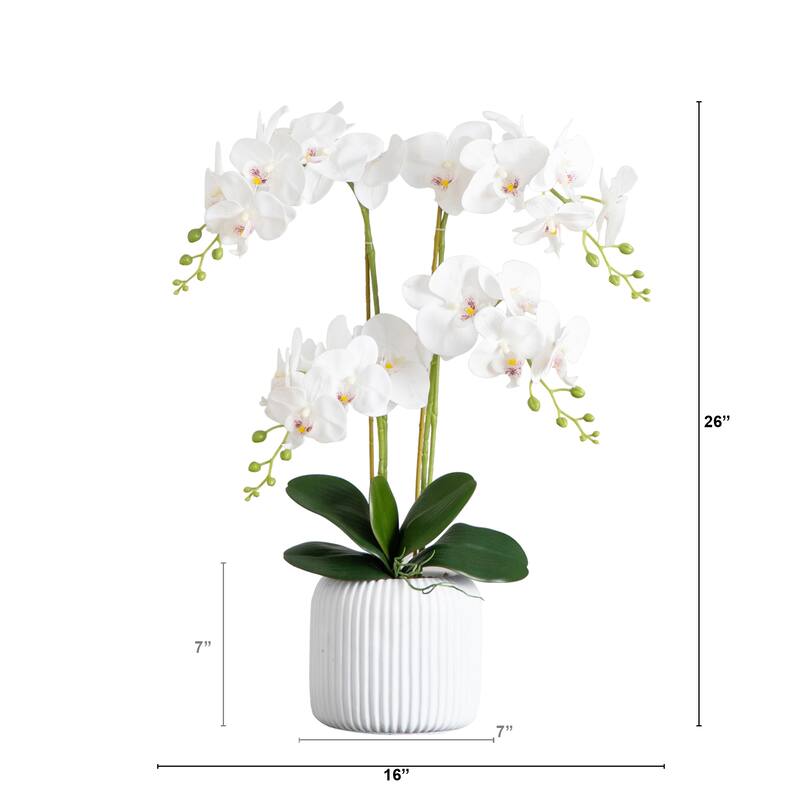 Phalaenopsis Orchid Floral Artificial Arrangement with Ceramic Vase - 26" - White