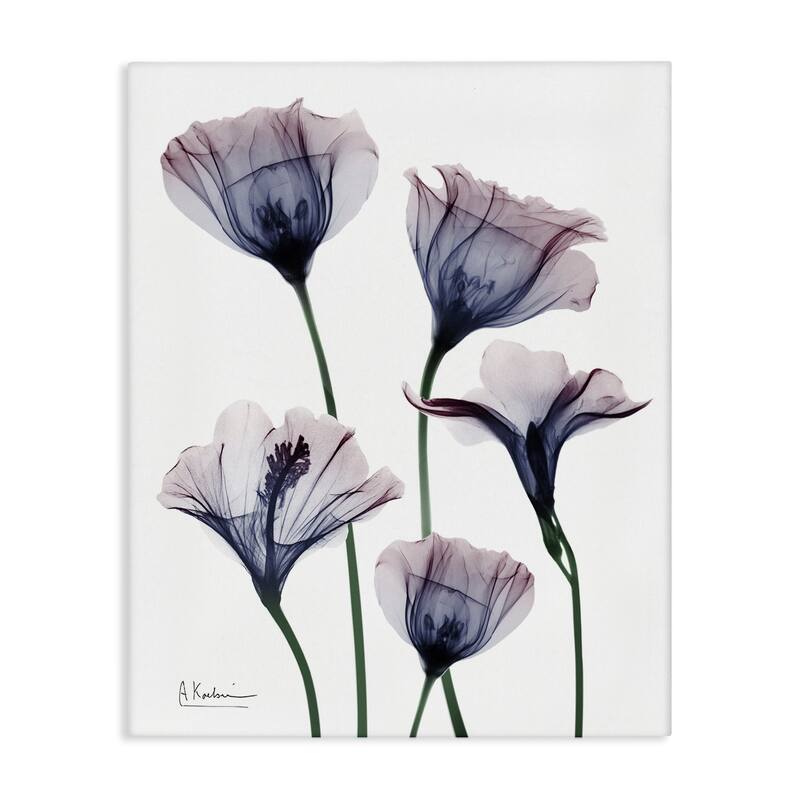 Stupell Subtle Fresh Flowers Canvas Wall Art Design By Albert Koetsier - 36 x 48
