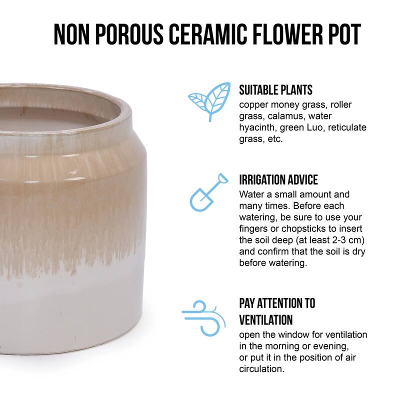 Elegant Ombre Glaze Non-Porous Ceramic Planters Pot for Aquatic Plants