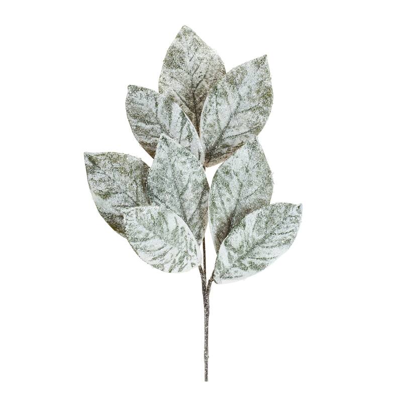 Frosted Winter Magnolia Leaf Spray (Set of 6) - N/A