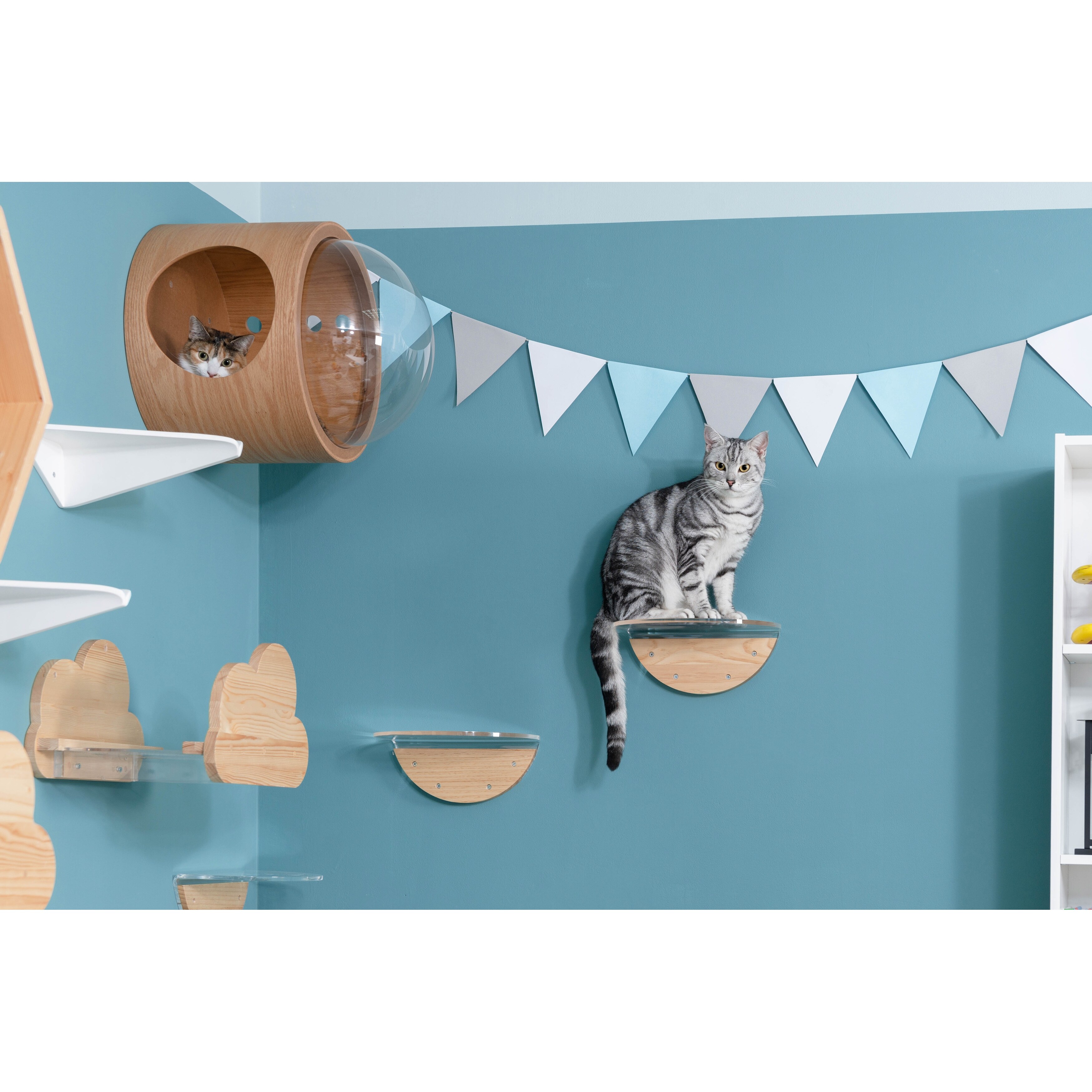 Myzoo Round Lack Clear 1 Pcs Wall Mounted Cat Shelves With Transparent Board Beige Overstock 31938479 Comfortable and luxurious cat beds from the large selection at catsplay.com. myzoo round lack clear 1 pcs wall mounted cat shelves with transparent board beige