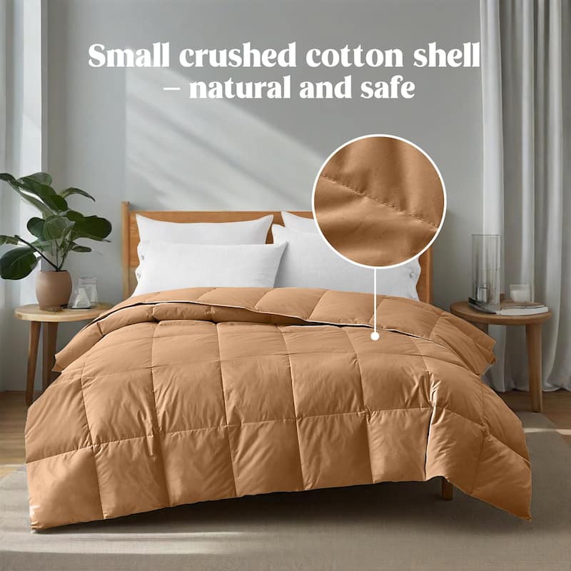 All Season 300TC Organic Cotton Down Comforter - 100% Natural, Chemical-Free, Medium Warmth Duvet Insert