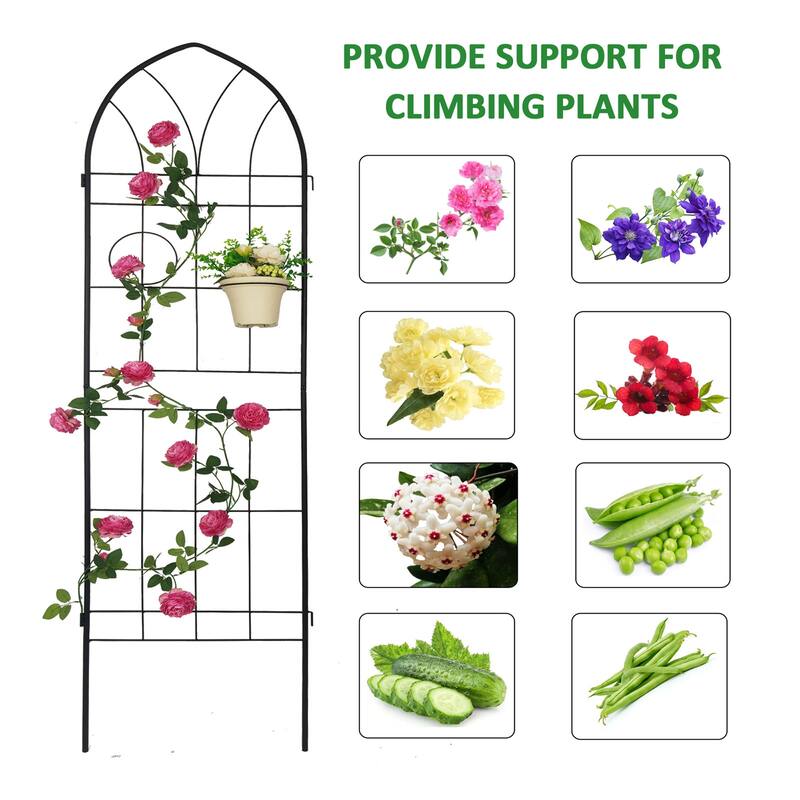 4 Pack Metal Garden Trellis 78.7" x 19.7" Rustproof Trellis for Climbing Plants Outdoor Flower Support