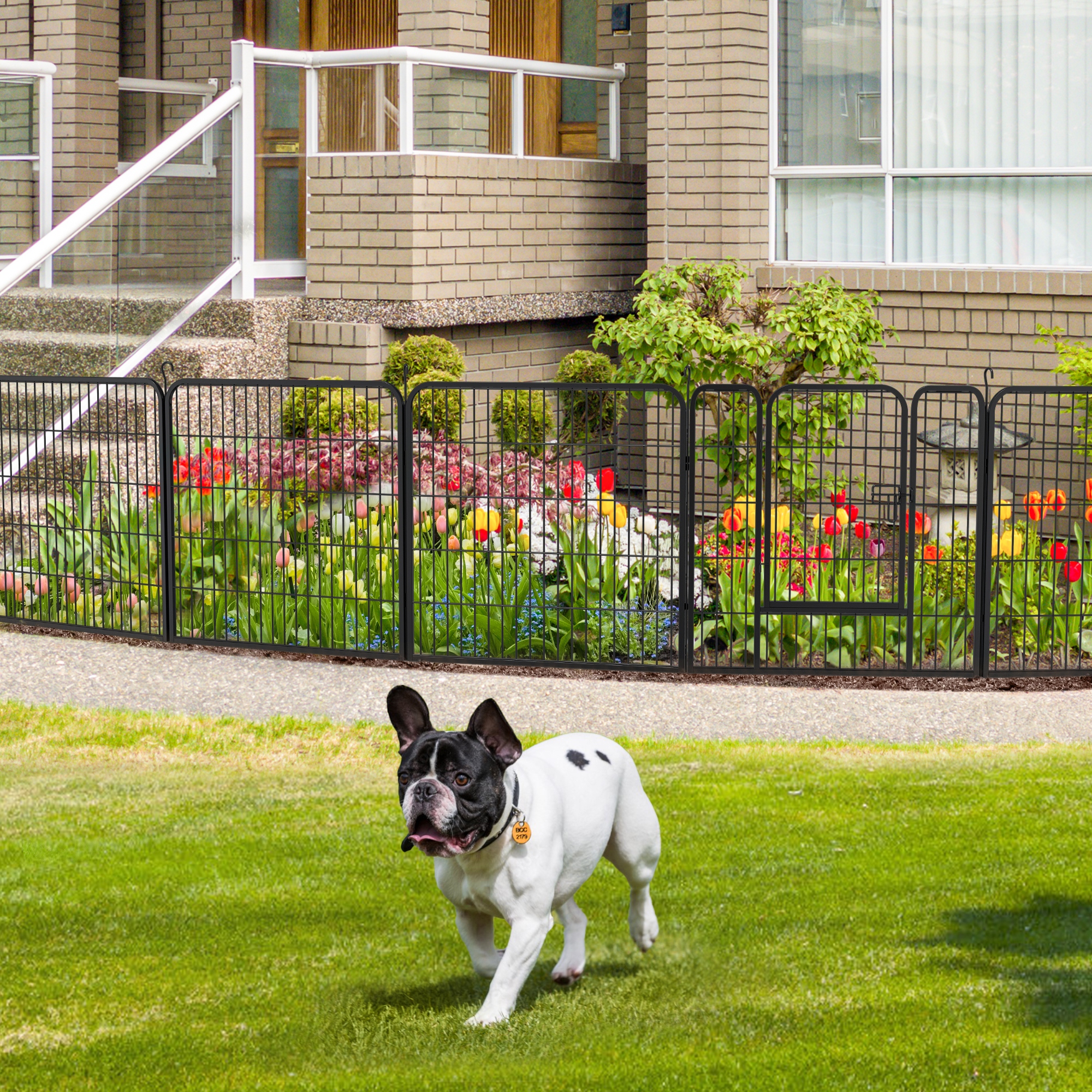 Rv dog fence ideas cheap