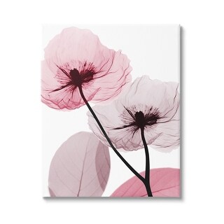Stupell Pink Poppy Flowers Canvas Wall Art Design by Albert Koetsier ...