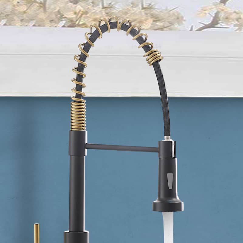 Single Hole Single Handle Pull Down Kitchen Faucet with Sprayer