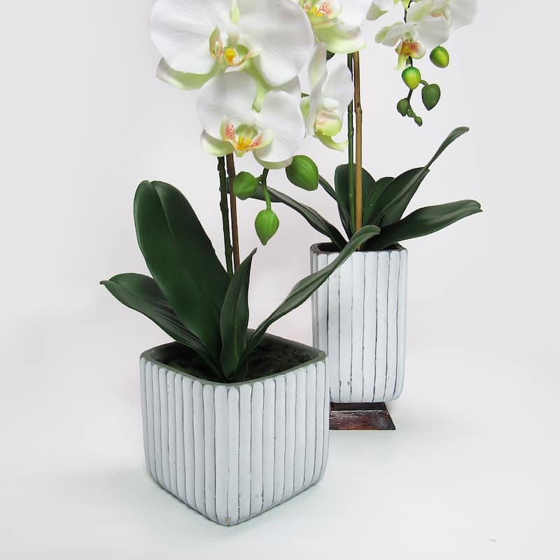 Cream White Artificial Phalaenopsis Orchid Flower Arrangement in Tall Embossed Stripe Ceramic Pot 26in - 26" H x 9" W x 8" DP