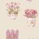 Option Pink