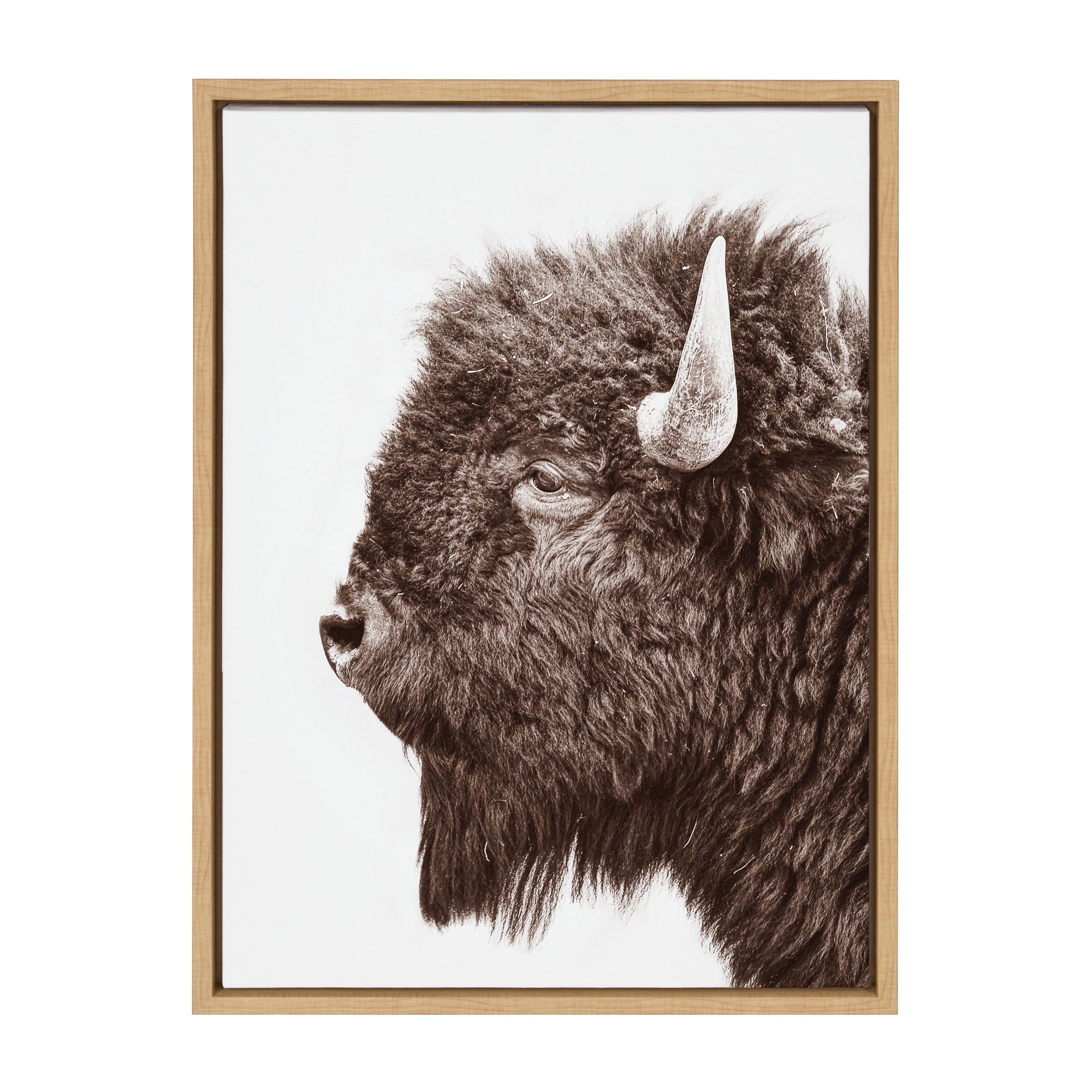 Kate and Laurel Sylvie Bison Profile Framed Canvas by Amy Peterson Art  Studio On Sale Bed Bath  Beyond 37207757
