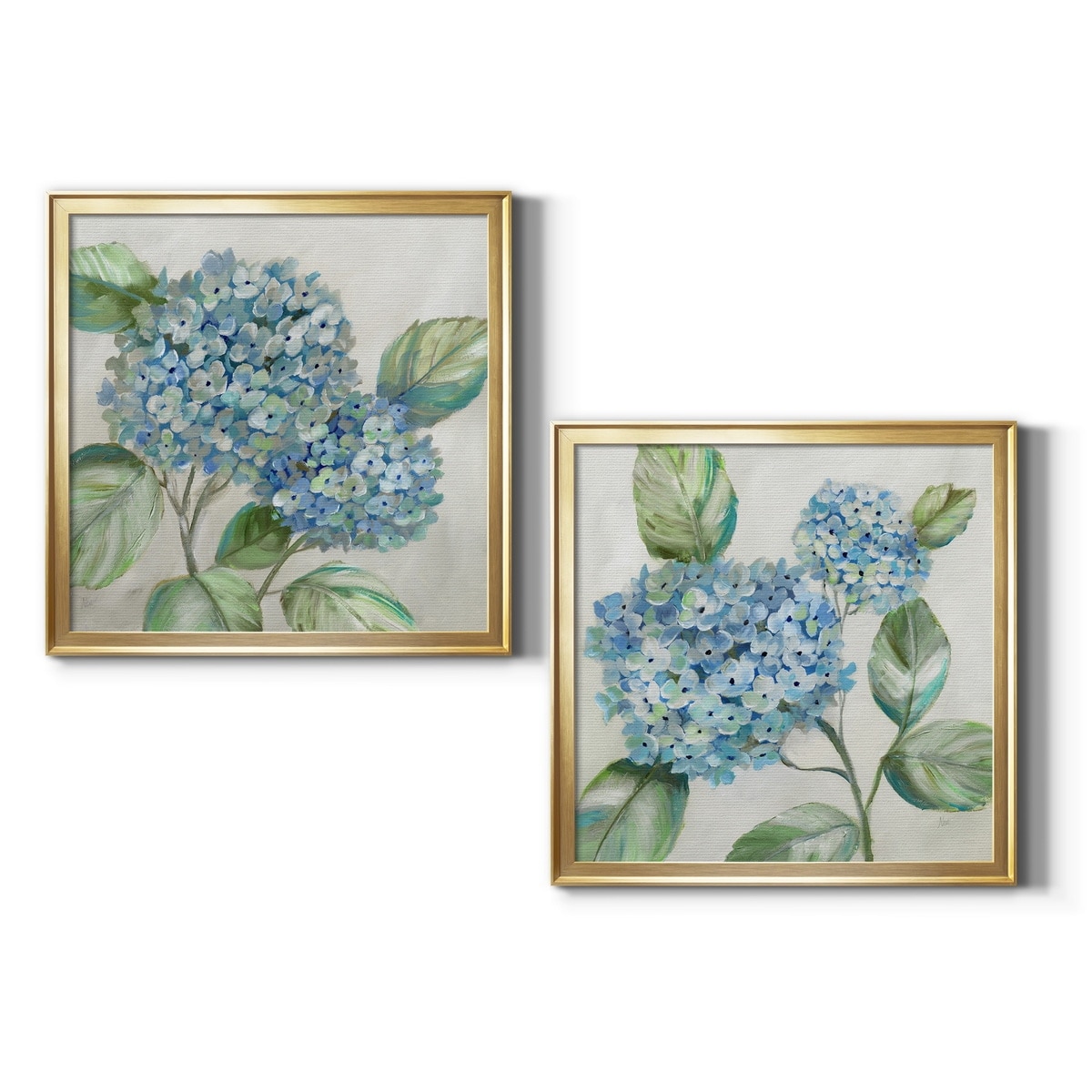 Hydrangea Beauty I Premium Framed Canvas - Ready to Hang