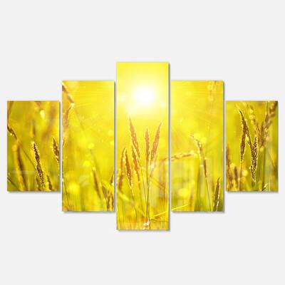 Designart 'Yellow Grass Flower at Sunset' Landscape Artwork Glossy Metal Wall Art