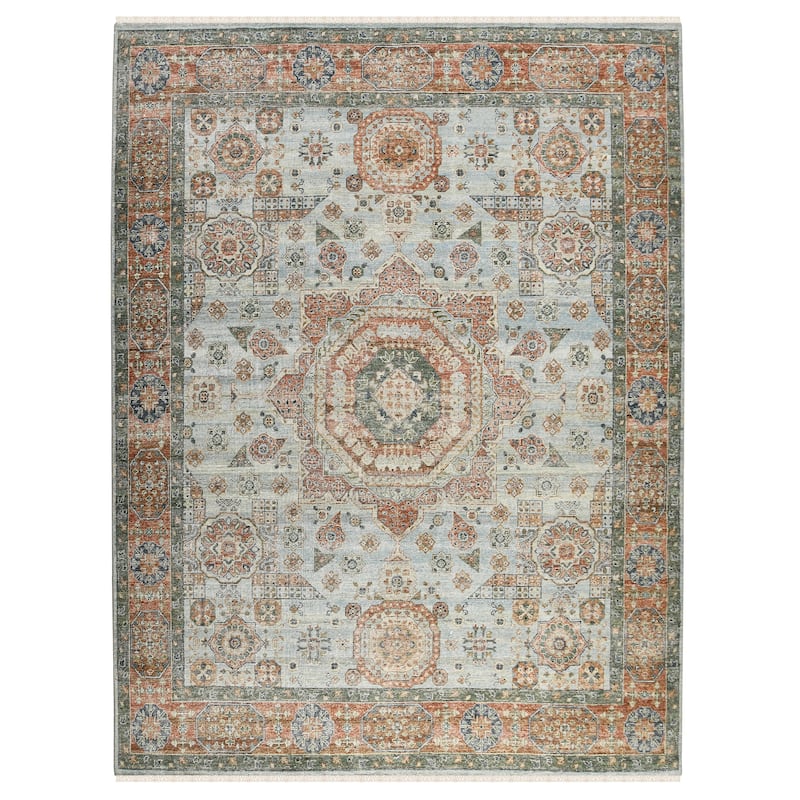 Milano Drev Traditional Medallion Hand-Knotted Area Rug
