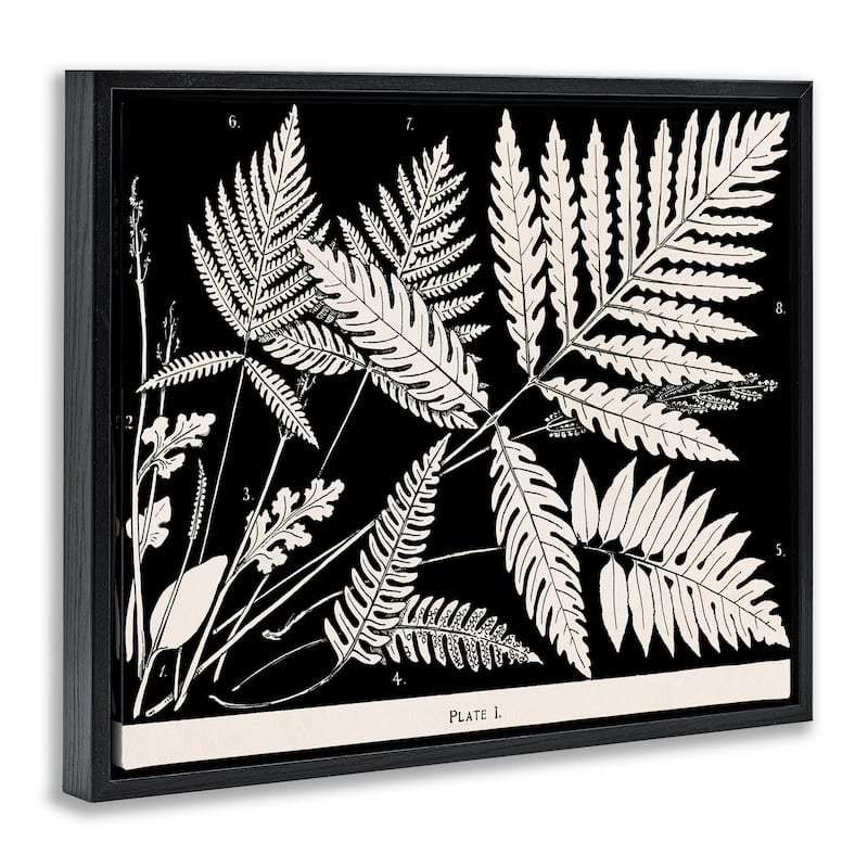 Stupell Overlapping Ferns on Black Framed Floater Canvas Wall Art Design By Phillipa Katz