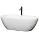 Option White, Shiny White Trim & Matte Black Faucet
