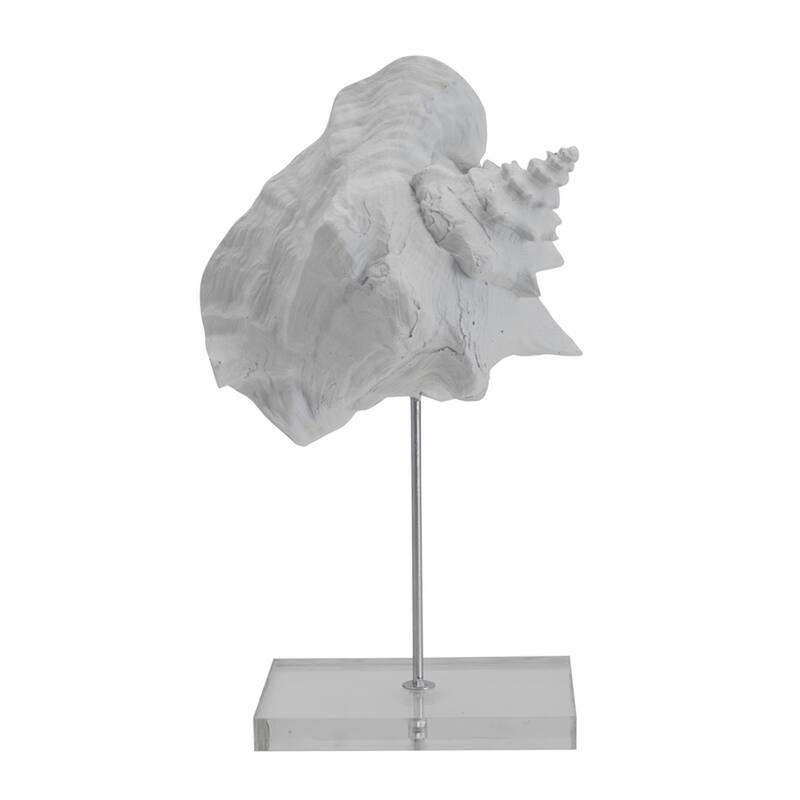 Elements White Conch Seashell Figurine, 7X12 Inch