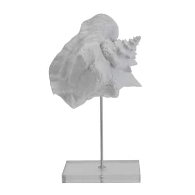 Elements White Conch Seashell Figurine, 7X12 Inch
